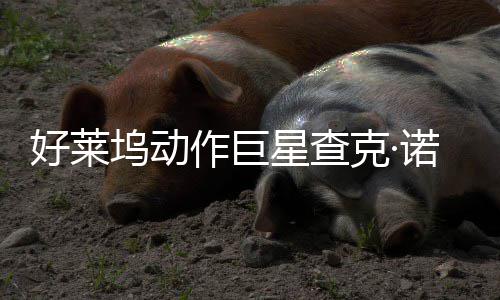 部游坞动星查戏演作巨曾参克·出好莱与多诺里斯去世